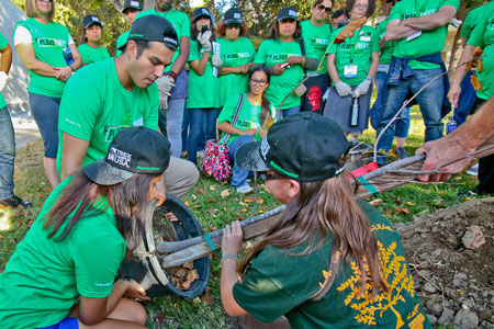 Planting Trees