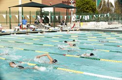 Swim Team In Pool