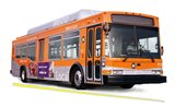 Orange Bus