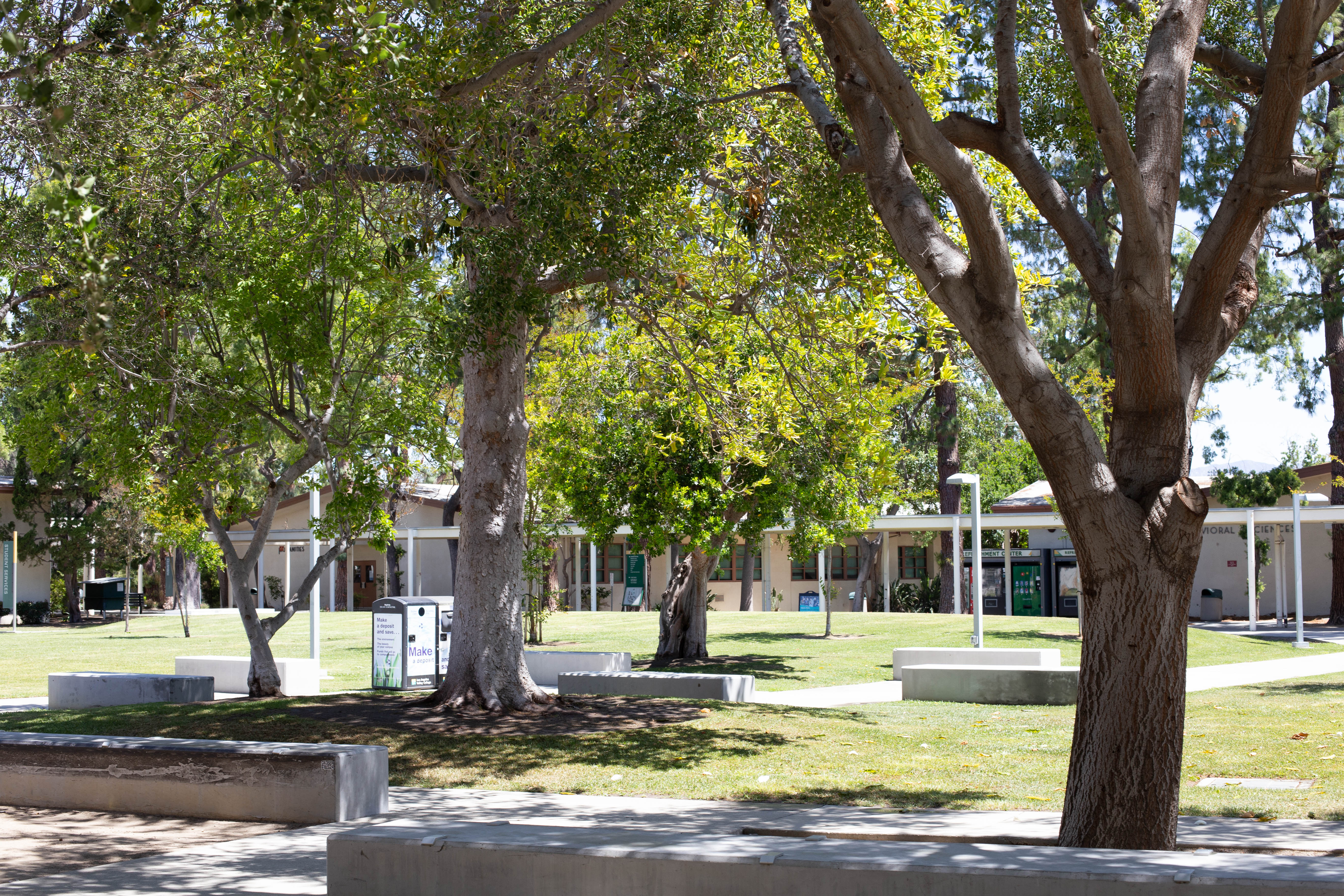 Trees in LAVC Campus