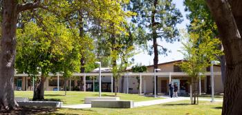 Trees at LAVC campus