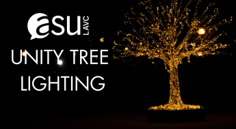 DARK BACK GROUND WITH AN ILLUMINATED TREE