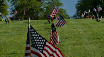 American Flags at cemetary