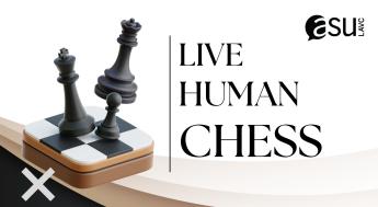 black chess pieces on chess board