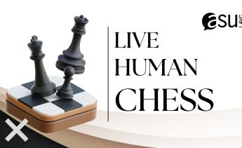 black chess pieces on chess board