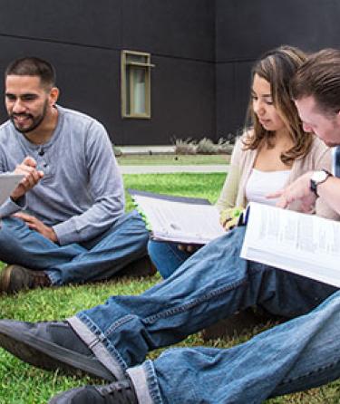 Students Studying Outside