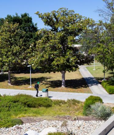 Enviroment on Campus