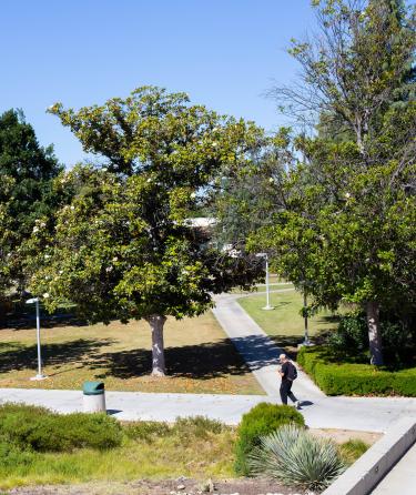 Students Walking