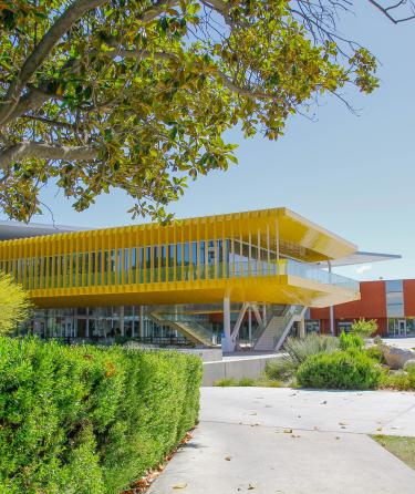 Yellow Building in Student Plaza Tree view