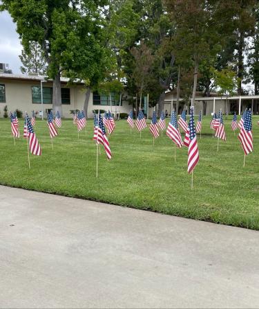 picture of American flags