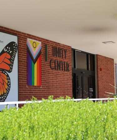 Brick wall with butterfly and rainbow flag