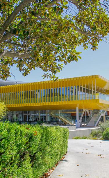 Yellow Building in Student Plaza Tree view