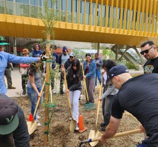 MESA Tree planting event