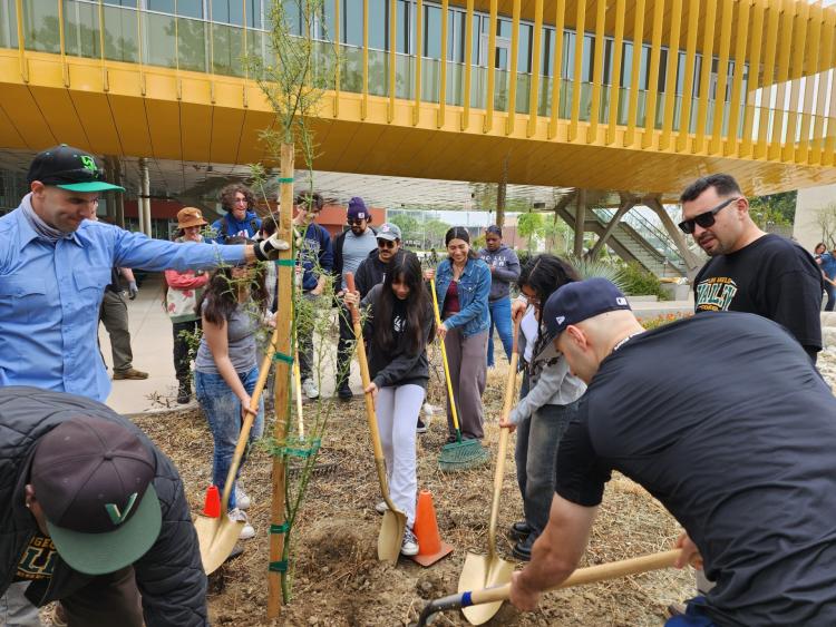 MESA Tree planting event