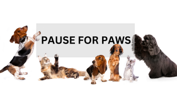 White background,  four dogs and two cats holding up a sign that reads Pause for Paws