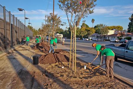 ADF Tree Planting-Burbank