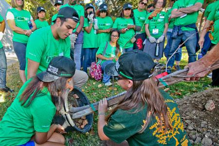 ADF Tree Planting-Fulton