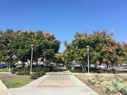 Lot A Walkway Fall 2016