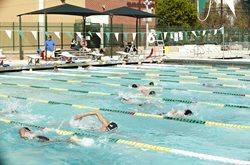 Swim Team In Pool