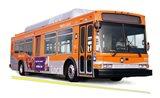 Orange Bus