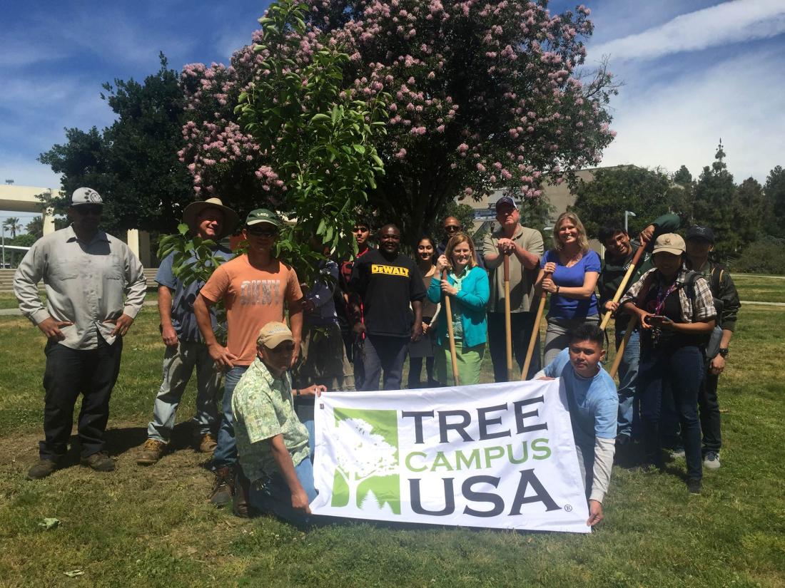 2017 Arbor Day Group