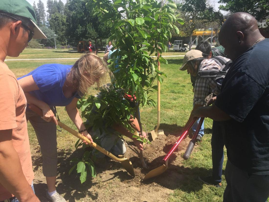 2017 Arbor Day Planting