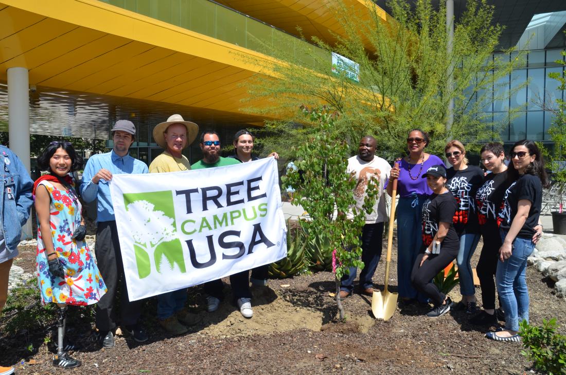 LAVC Arbor Day 2019 Photo 01