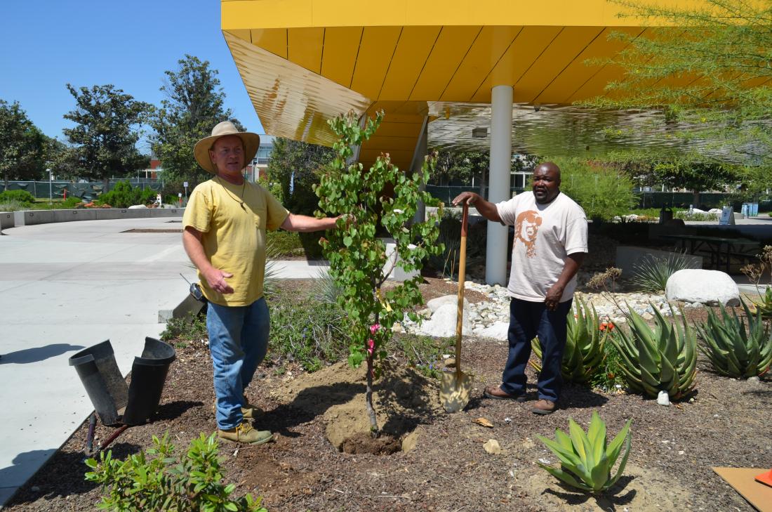 LAVC Arbor Day 2019 Photo 02