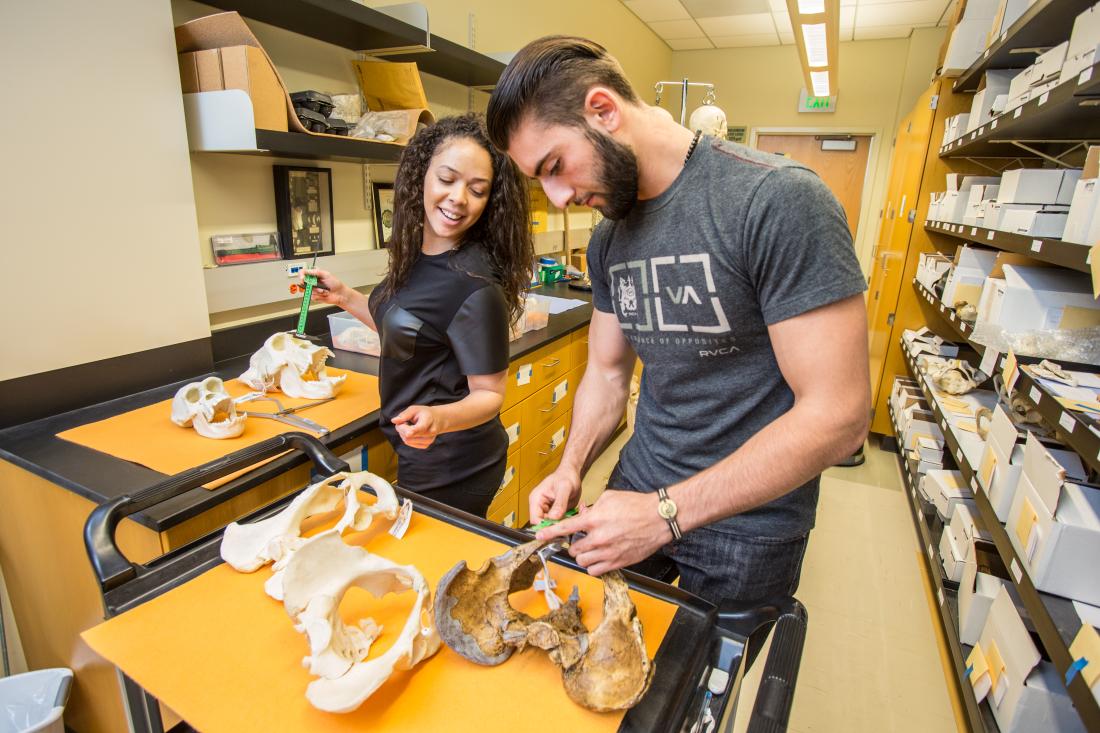 Anthropology students with skulls