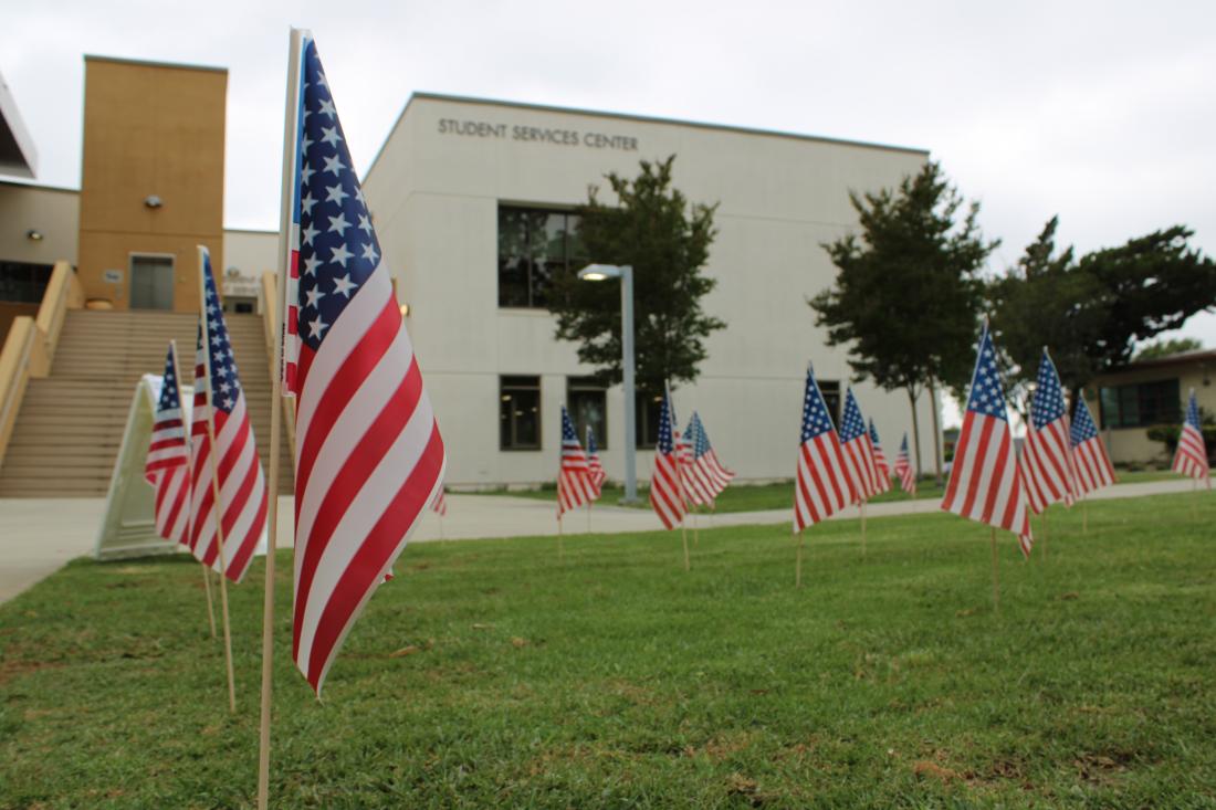 USA Flags on the grass in front of building 