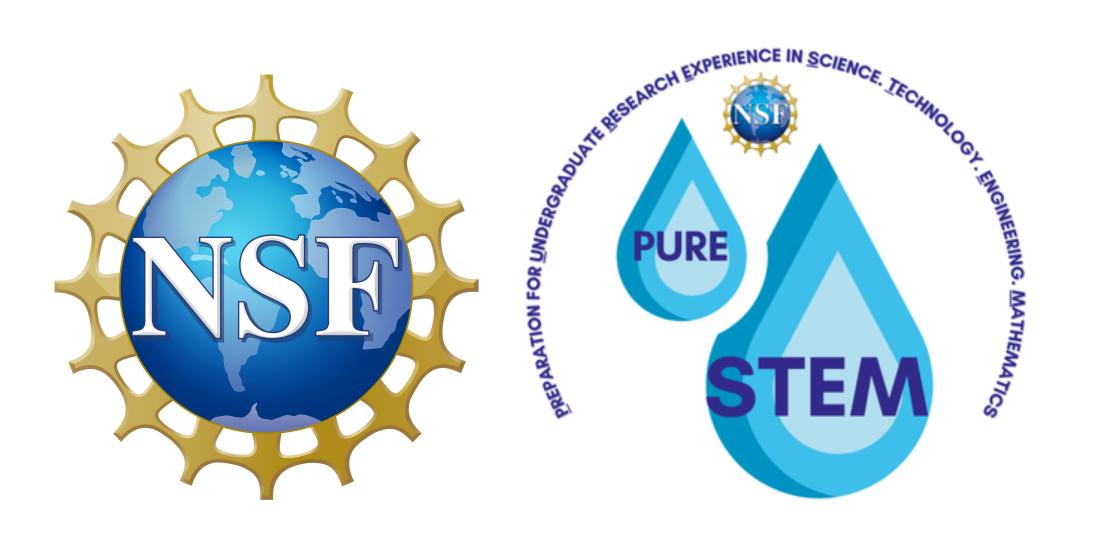Banner of NSF and PURE STEM Logo