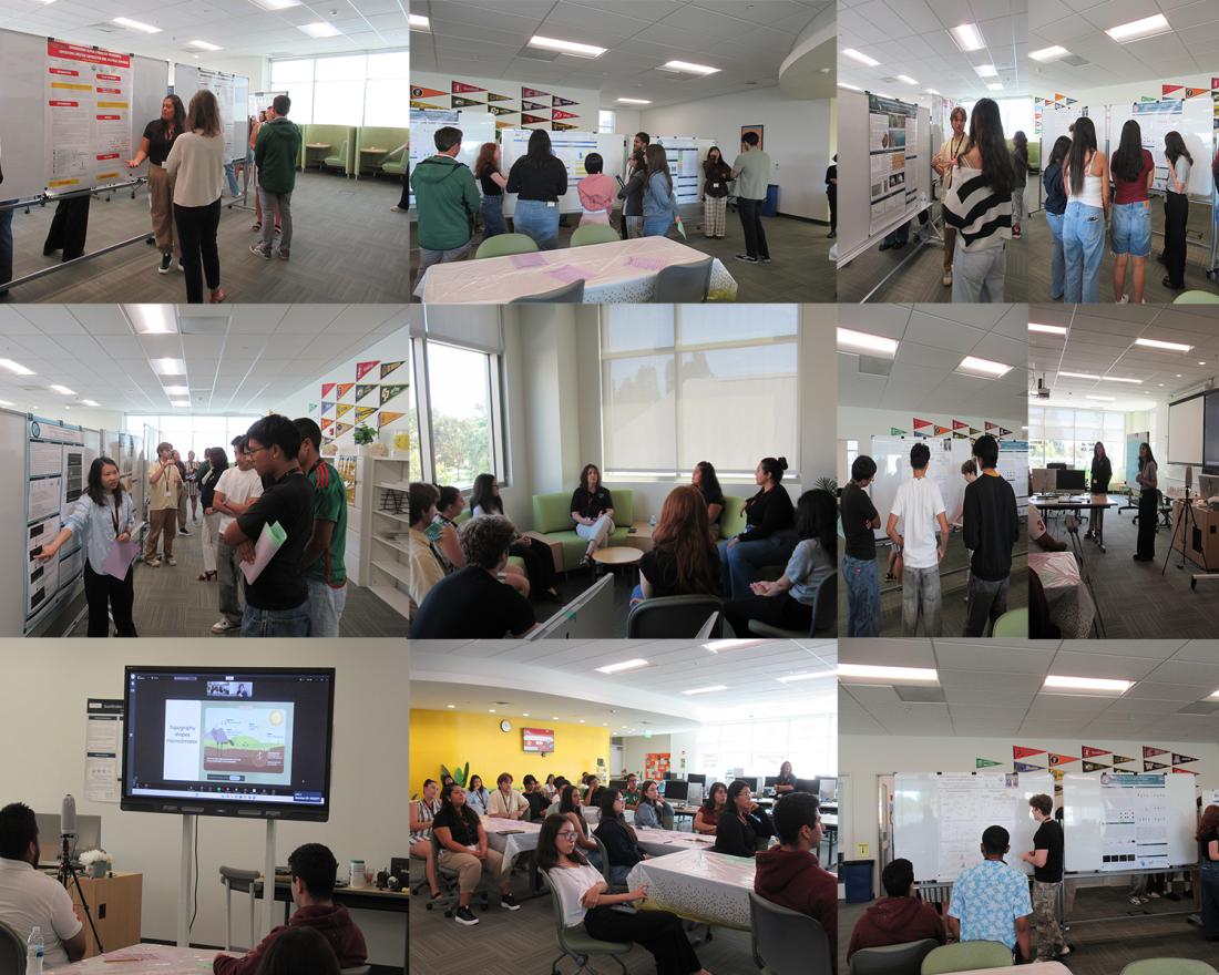 A collage of 11 pictures pf students presenting