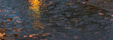 rainwater on street