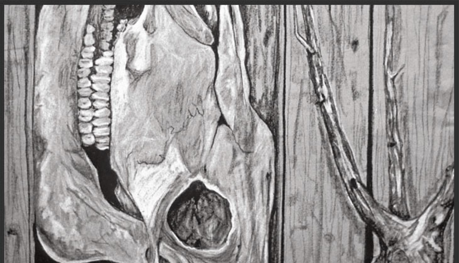 Torso of a Person